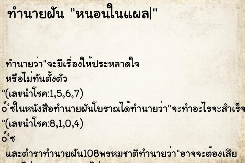 ทำนายฝัน หนอนในแผล| ทำนายฝัน หนอนในแผล|